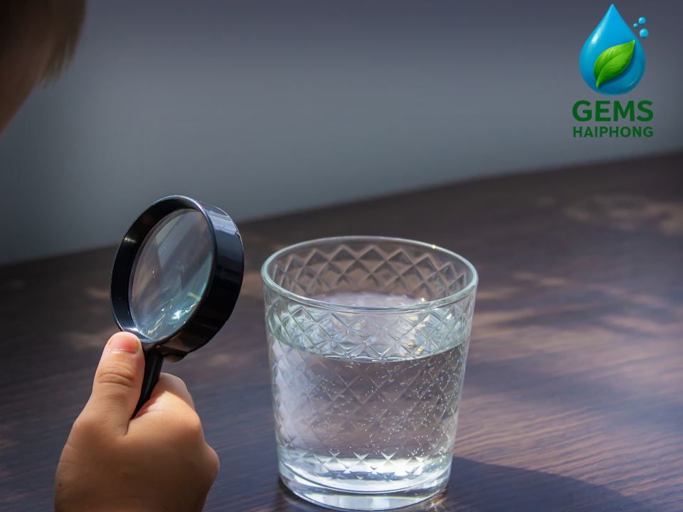 Gems Hải Phòng